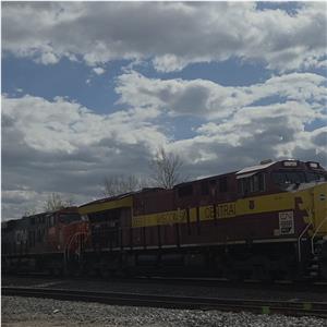 Photo 137691
