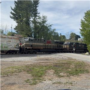 Photo 138031