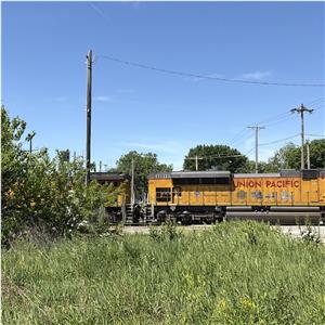 Photo 138478