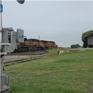Photo 138567