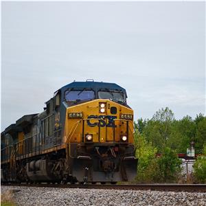 Photo 138645