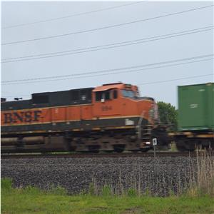 Photo 139263