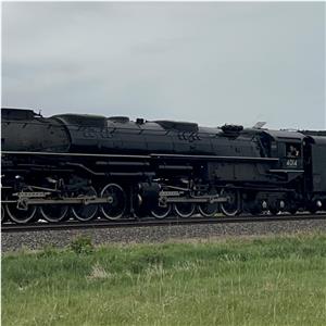 Photo 139376