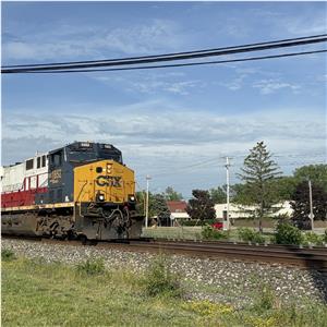 Photo 141273