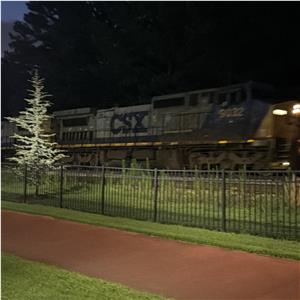 Photo 141569