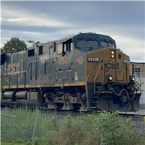 Photo 142001