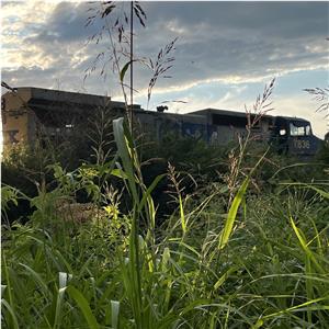 Photo 142189