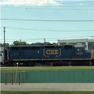 Photo 142198