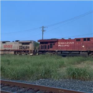 Photo 142199