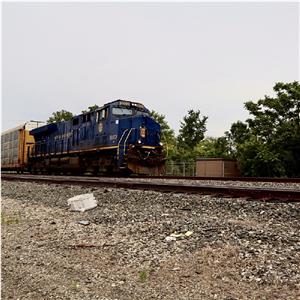 Photo 142509