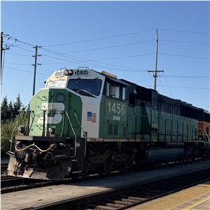 Photo 143427