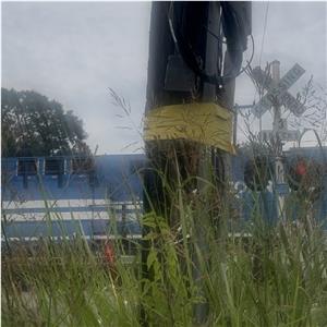 Photo 145077