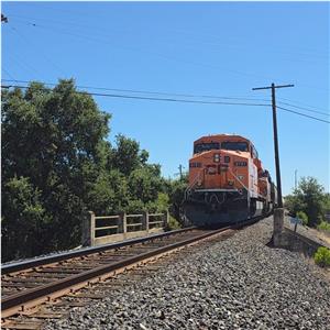 Photo 146262