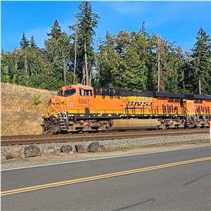 Photo 146271