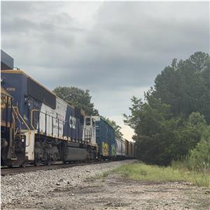 Photo 146425