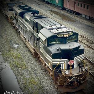 Photo 146461
