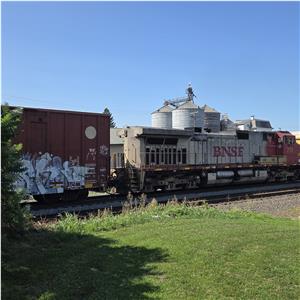 Photo 146654