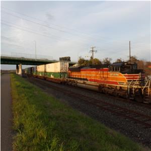 Photo 146692