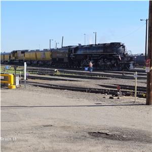 Photo 147397