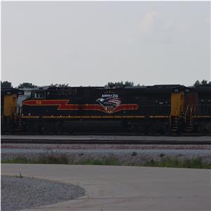 Photo 147448