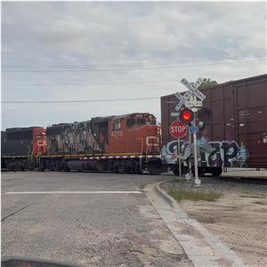 Photo 148772