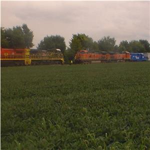 Photo 149588