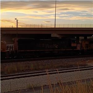 Photo 150293