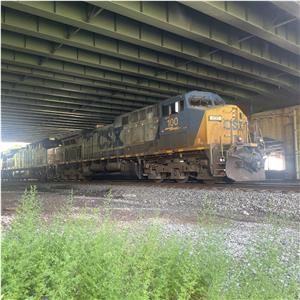 Photo 151267