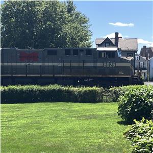 Photo 151323