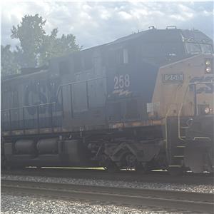 Photo 151628
