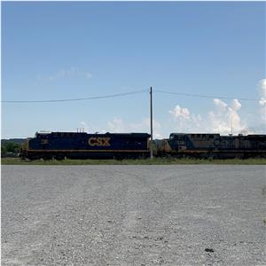 Photo 151781