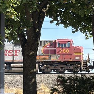 Photo 152002