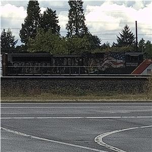Photo 152382