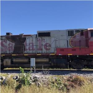 Photo 154355