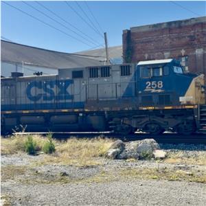 Photo 154373