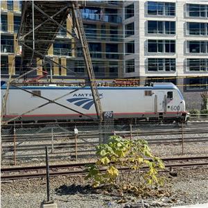 Photo 154643