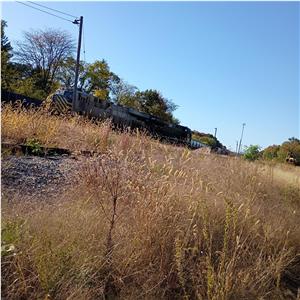 Photo 154713