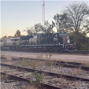 Photo 154748