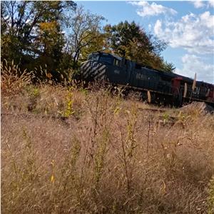 Photo 154757