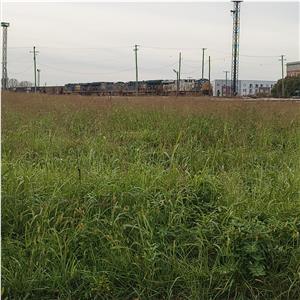 Photo 154861