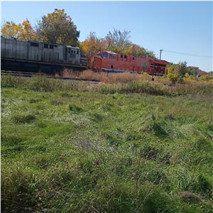 Photo 155068