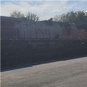 Photo 155220