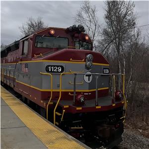 Photo 156317