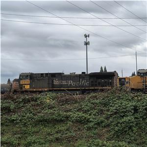 Photo 156608