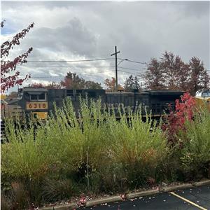 Photo 156723