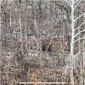 Photo 156754