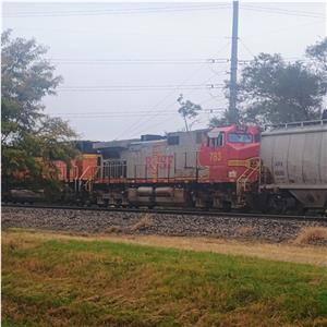 Photo 156798