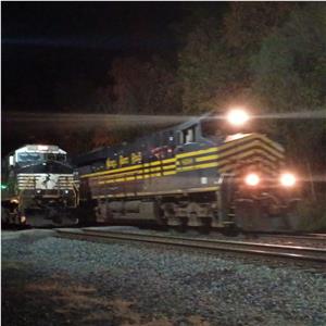 Photo 156815