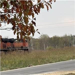 Photo 156845